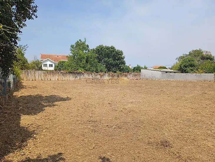 main-listing-picture-0