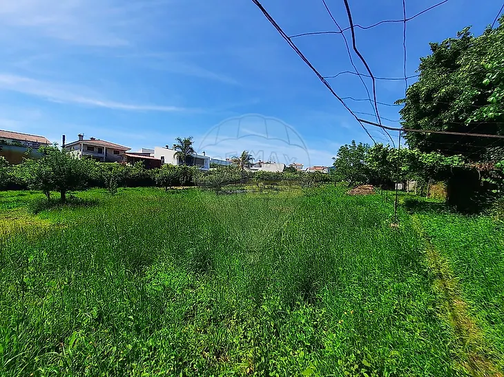 main-listing-picture-0