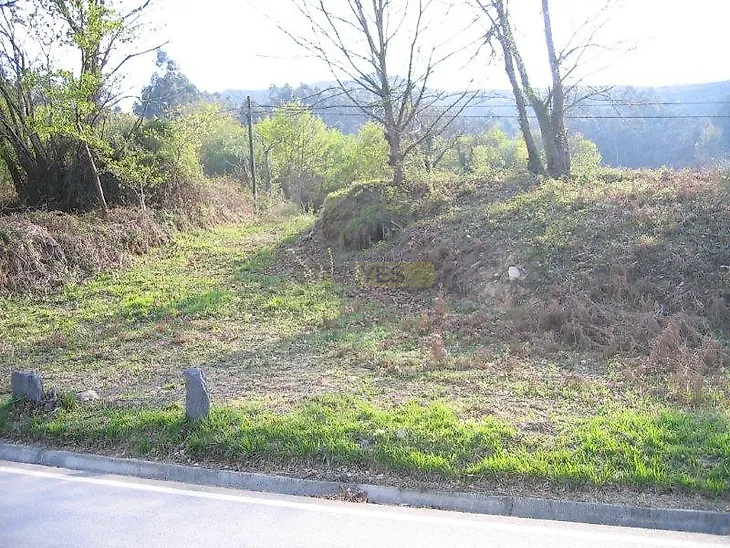 main-listing-picture-0