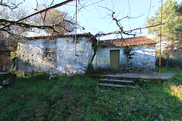 main-listing-picture-0
