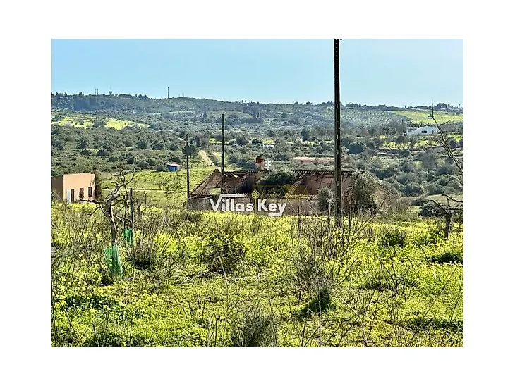 main-listing-picture-0