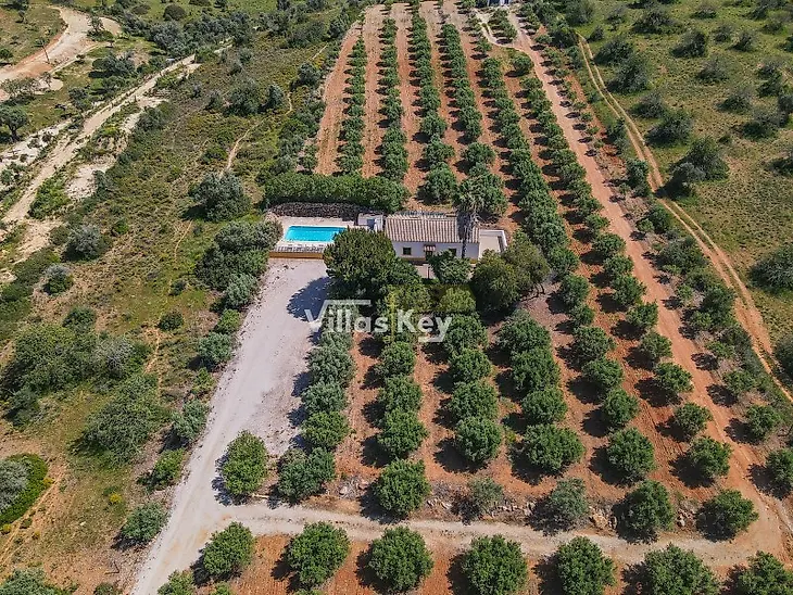 main-listing-picture-0