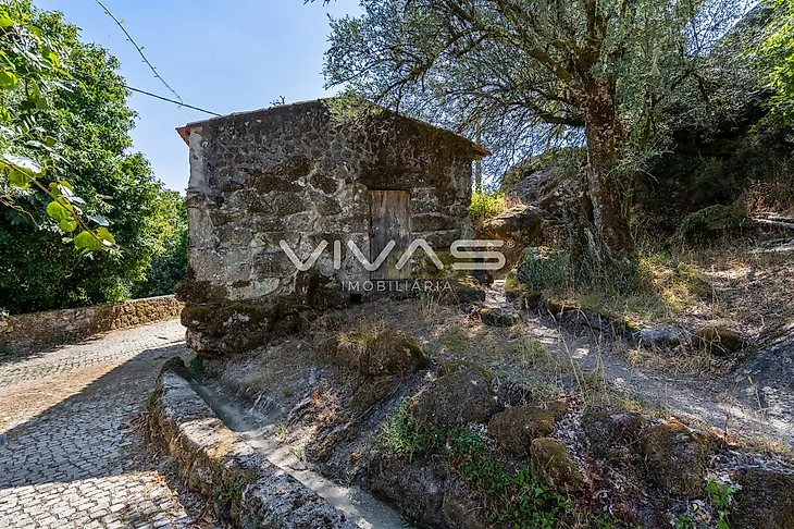 main-listing-picture-0