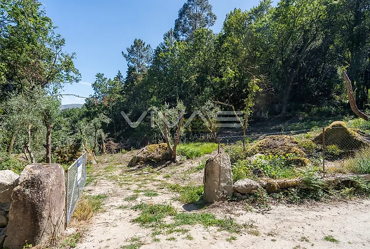 main-listing-picture-0