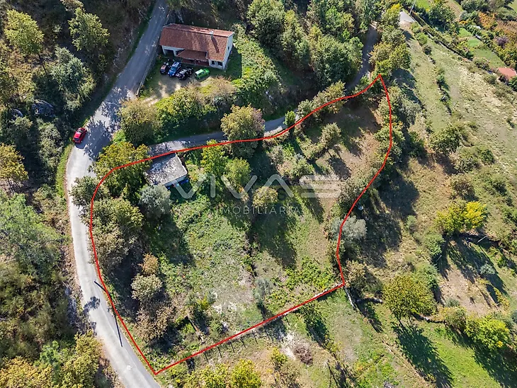 main-listing-picture-0
