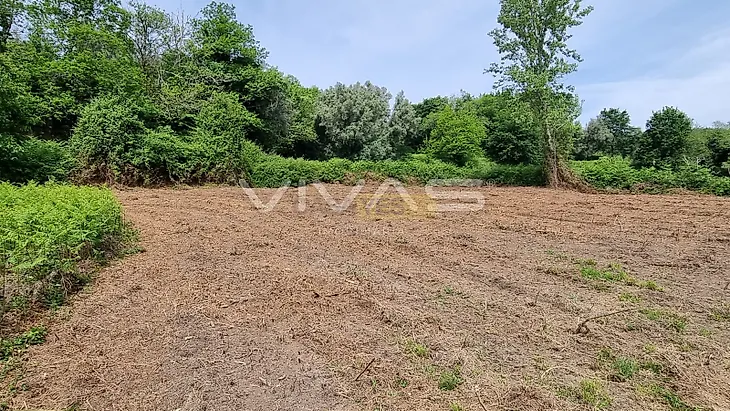 main-listing-picture-0
