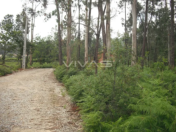 main-listing-picture-0