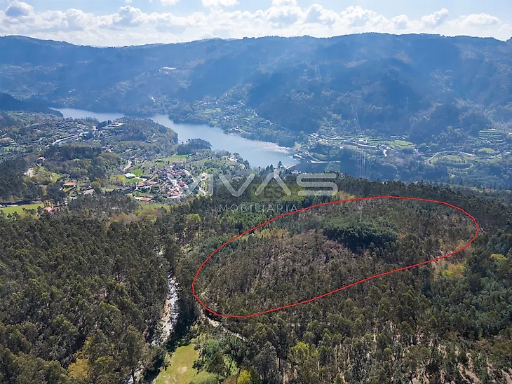main-listing-picture-0