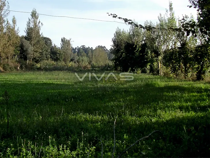 main-listing-picture-0