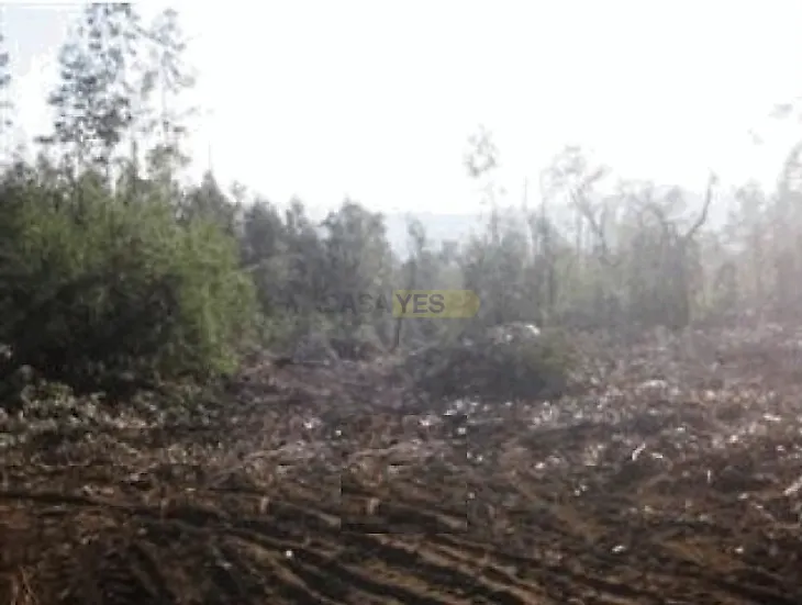main-listing-picture-0