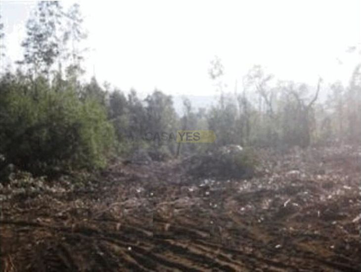 main-listing-picture-0