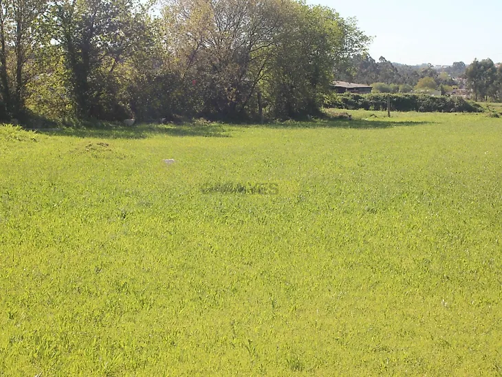 main-listing-picture-0