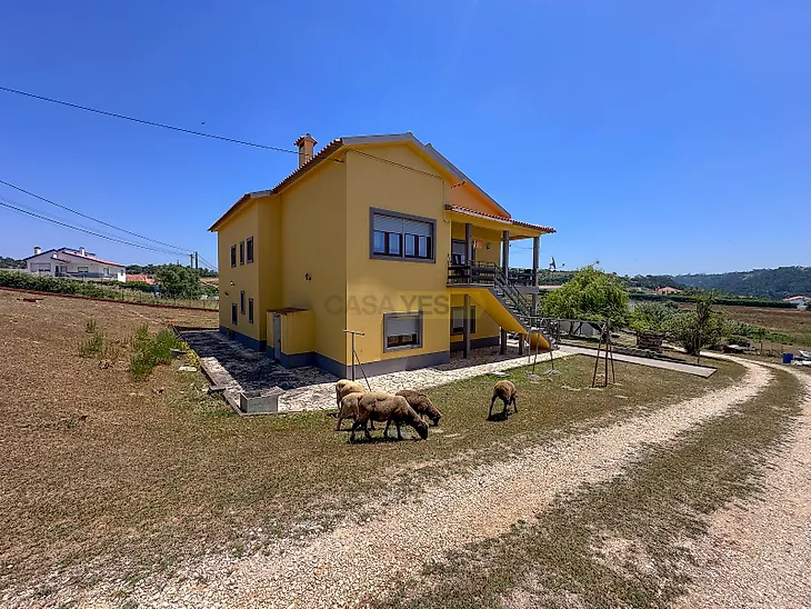 main-listing-picture-0