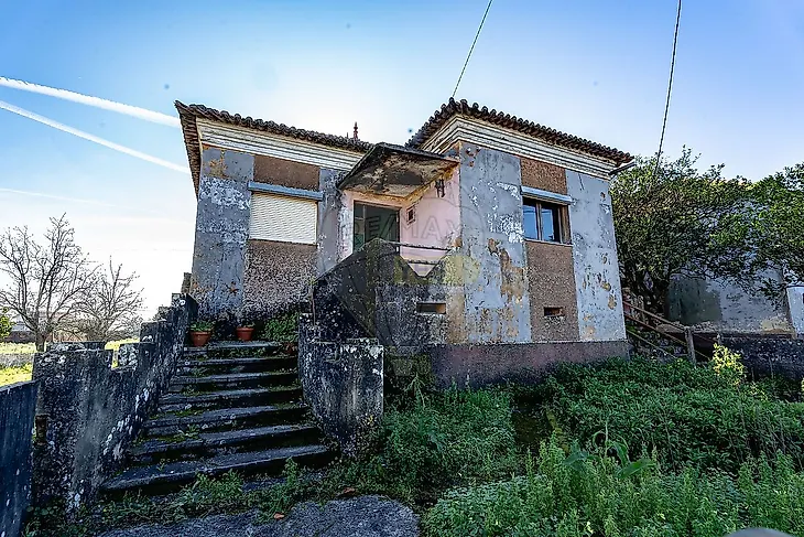 main-listing-picture-0