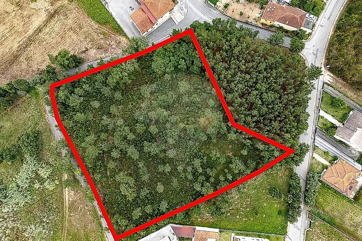 main-listing-picture-0