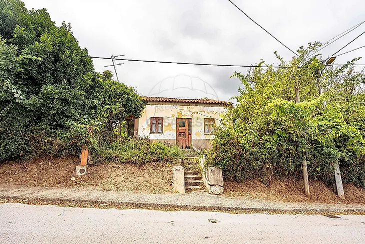 main-listing-picture-0