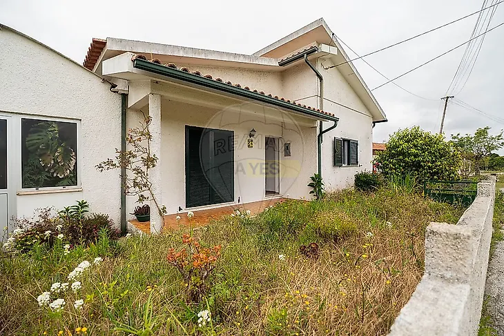 main-listing-picture-0