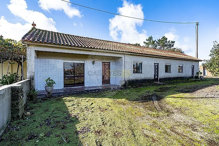 main-listing-picture-0
