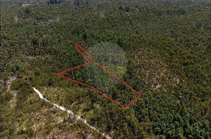 main-listing-picture-0