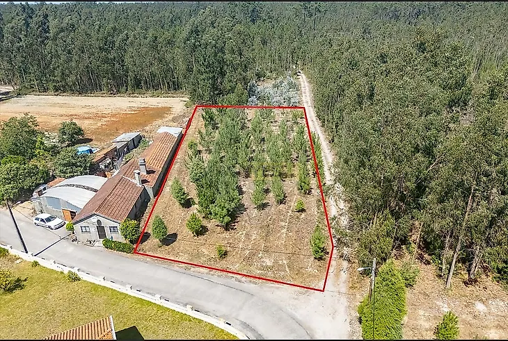 main-listing-picture-0