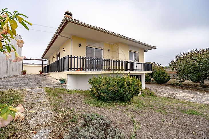 main-listing-picture-0