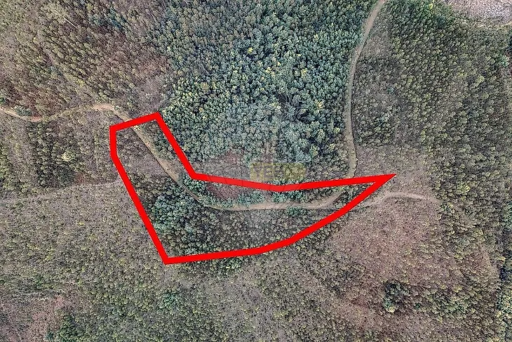 main-listing-picture-0