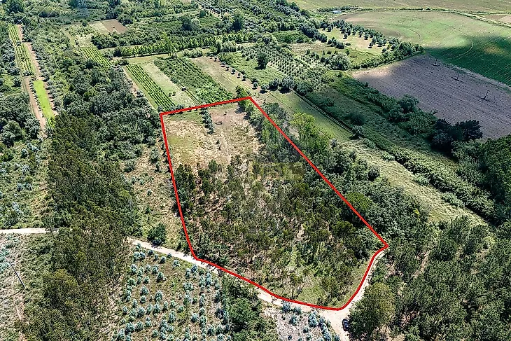 main-listing-picture-0