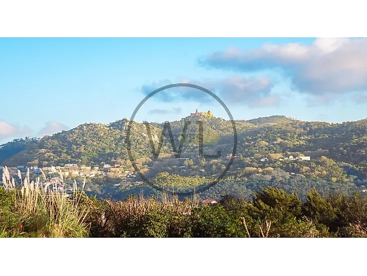 main-listing-picture-0