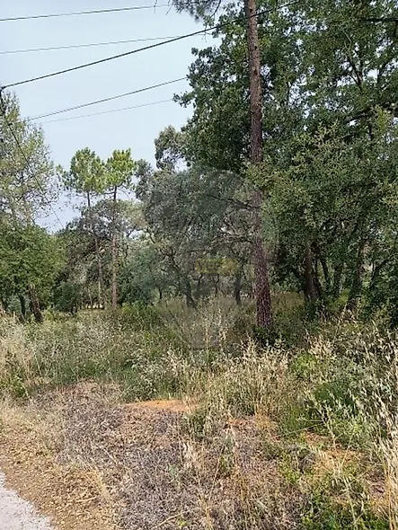 main-listing-picture-0