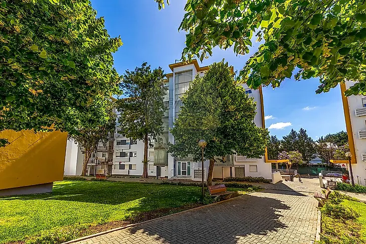 main-listing-picture-0