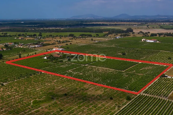 main-listing-picture-0