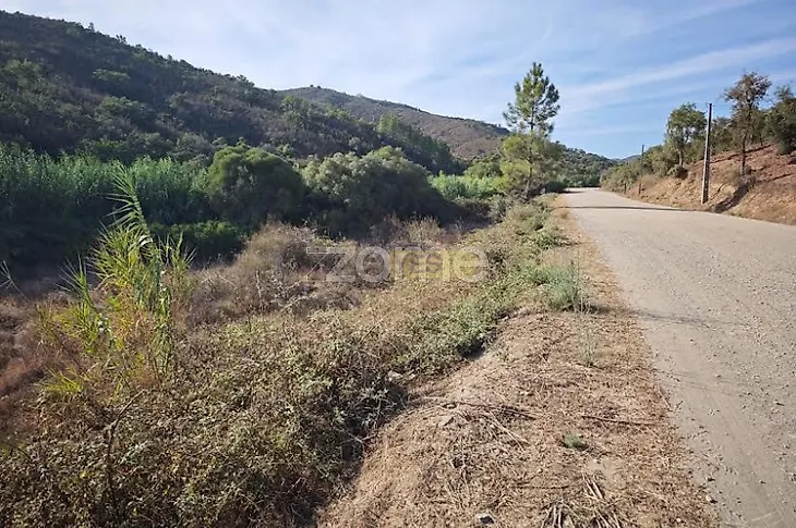 main-listing-picture-0
