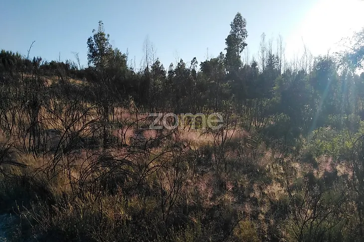 main-listing-picture-0