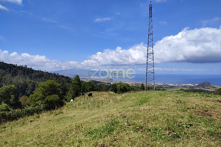 main-listing-picture-0