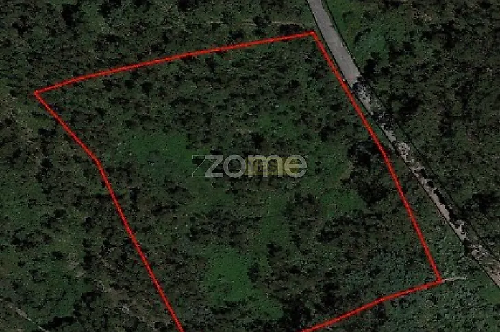 main-listing-picture-0