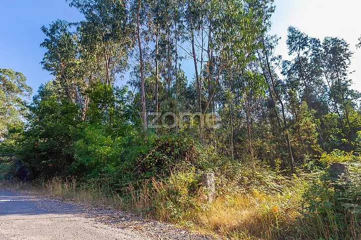 main-listing-picture-0