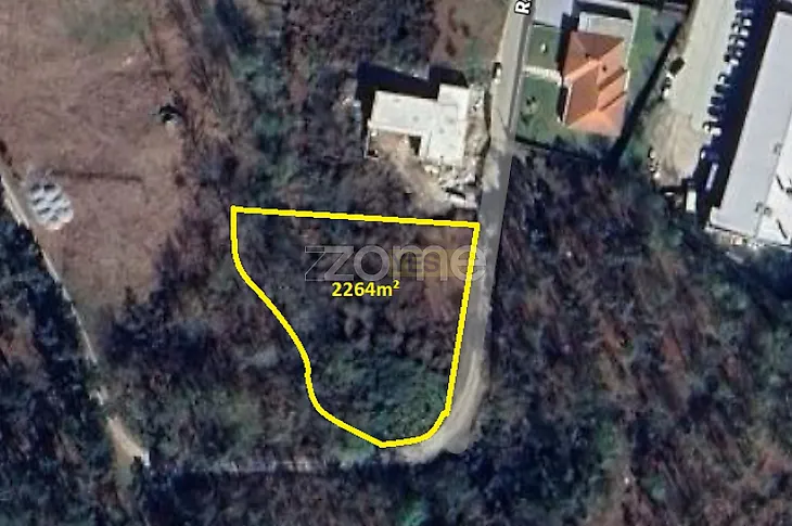main-listing-picture-0