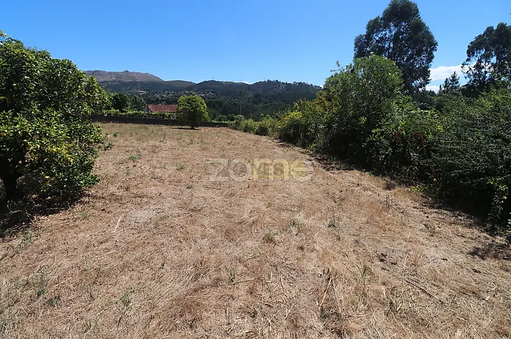 main-listing-picture-0