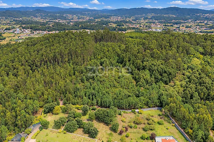 main-listing-picture-0