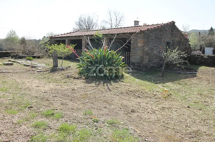 main-listing-picture-0