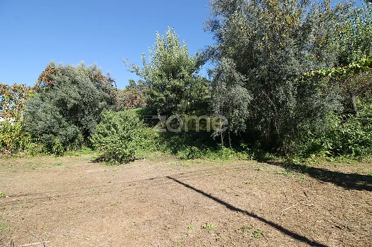main-listing-picture-0