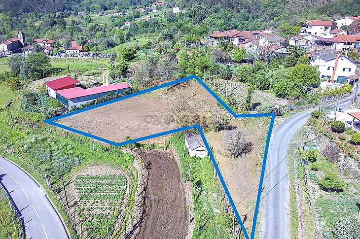 main-listing-picture-0