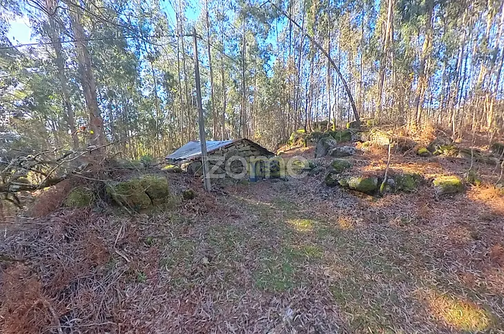 main-listing-picture-0
