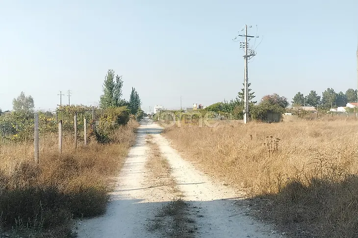 main-listing-picture-0