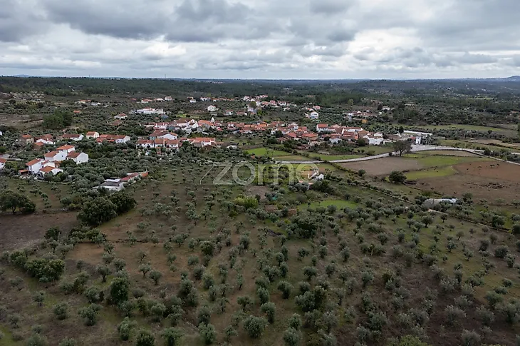 main-listing-picture-0