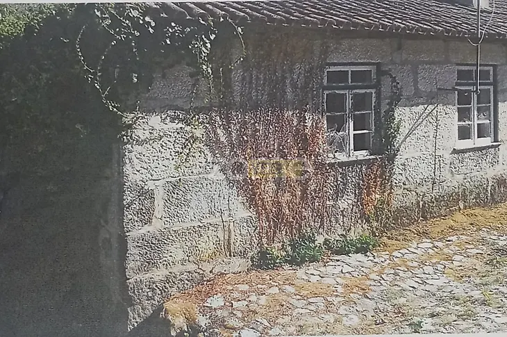 main-listing-picture-0