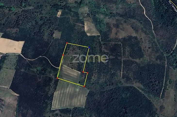 main-listing-picture-0