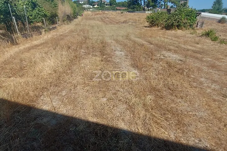 main-listing-picture-0