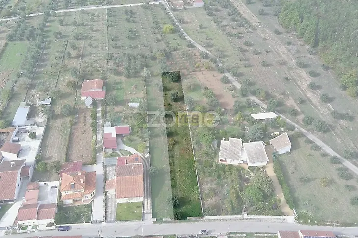 main-listing-picture-0
