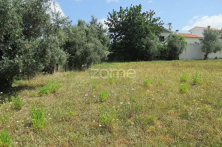 main-listing-picture-0